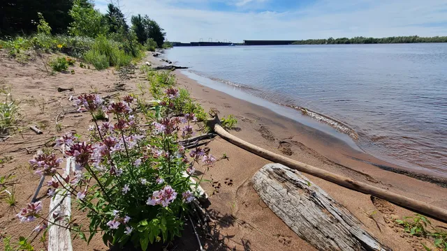 Park Point Trail Trailhead