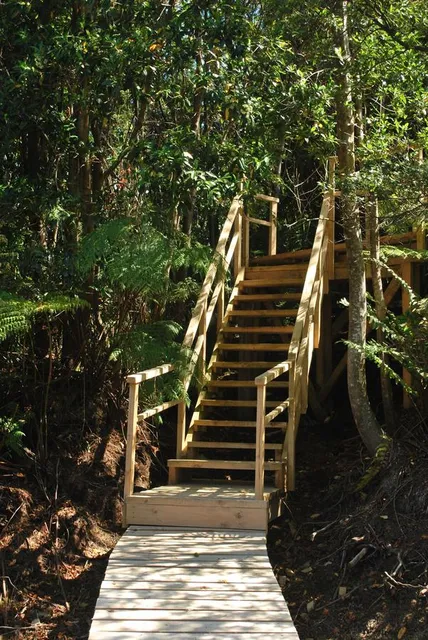 Chucao Bosque y Cabañas