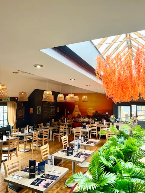 Thai Orchid Whitstable