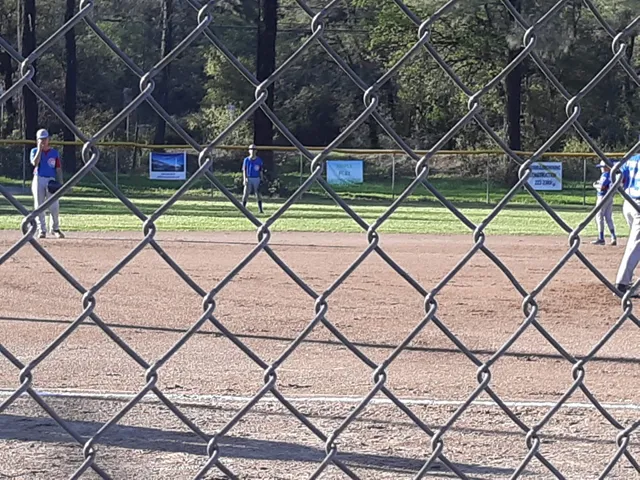 Shasta Dam Area Little League