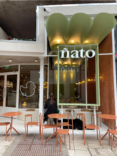 Pato Ñato