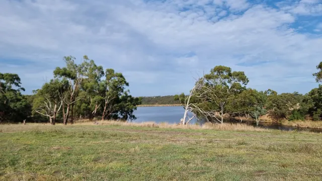 Blossom Park Drive Park