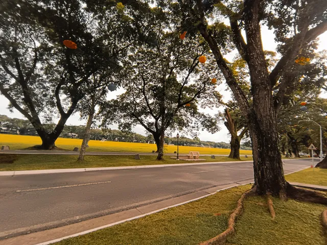 Clark Development Corporation