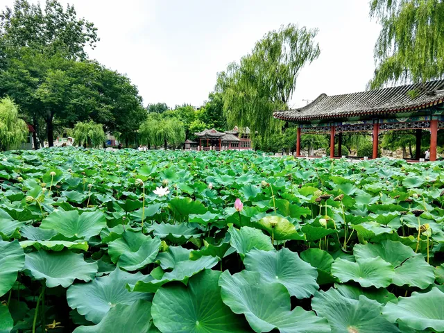 Ritan Park （South Gate）