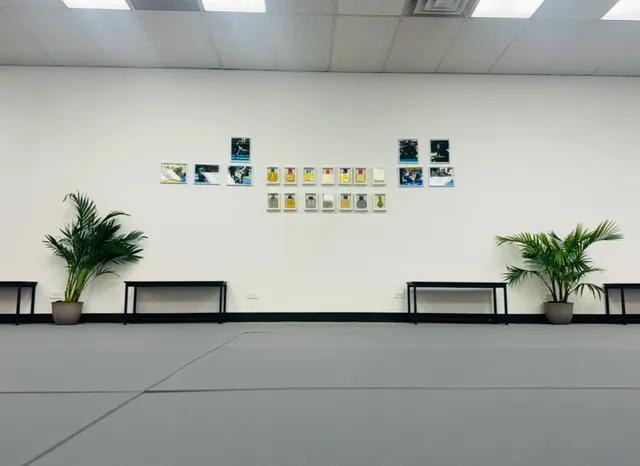 Artistic Jiu Jitsu School