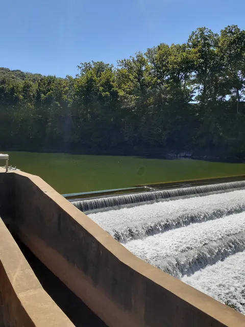 Gumtown Memorial Park