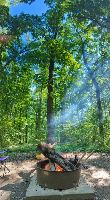 Little Bennett Campground Loop A Tent Area