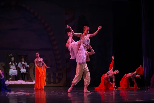 Rogers Palmer Performing Arts Center (formerly Wise Auditorium)