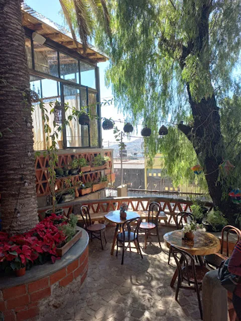 Humito Cocina y Foro 8 Temblor