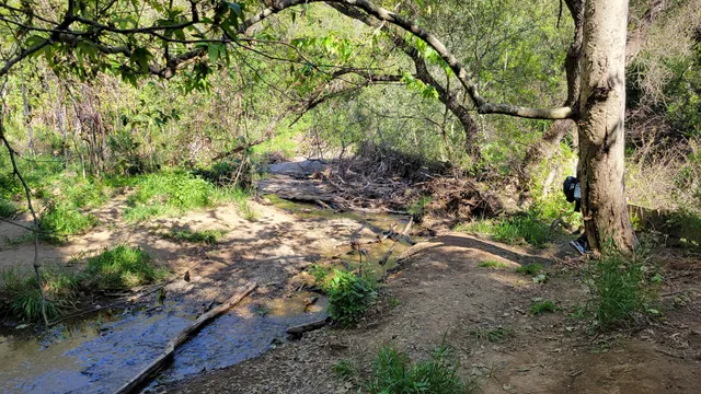 Temescal Canyon Trailhead