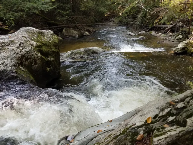 University of Vermont Jericho Research Forest and Conservation Center