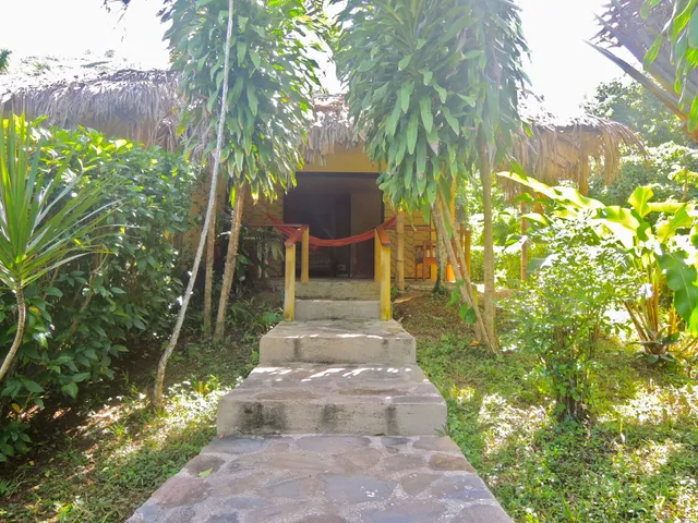 Jurassic Park Retreat