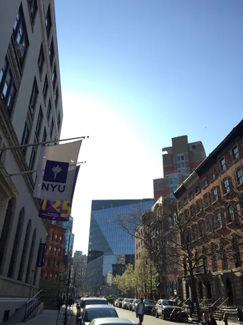 NYU Steinhardt School of Culture, Education, and Human Development