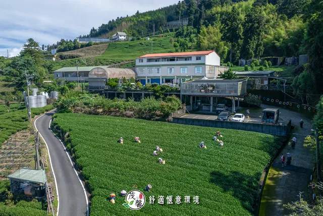 茂馨Mao Hsin｜茂馨製茶所｜阿里山｜頂石棹｜奮起湖｜烹飪DIY區