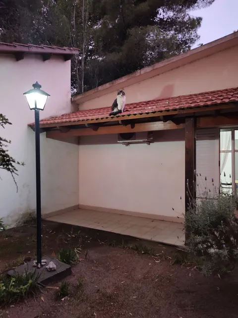 Alojamiento Ameghino