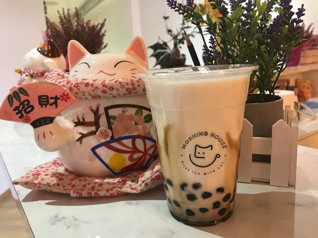 Morning Cat House 猫宁 (Bubble Tea 奶茶店) 猫咖