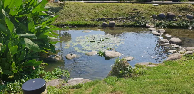 和祥五街生態園道