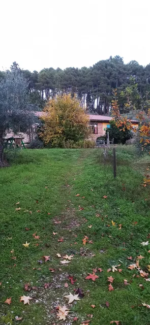 Casa Rural Las Gesillas