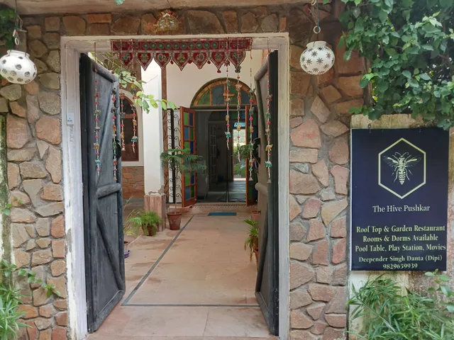 The Hive Pushkar