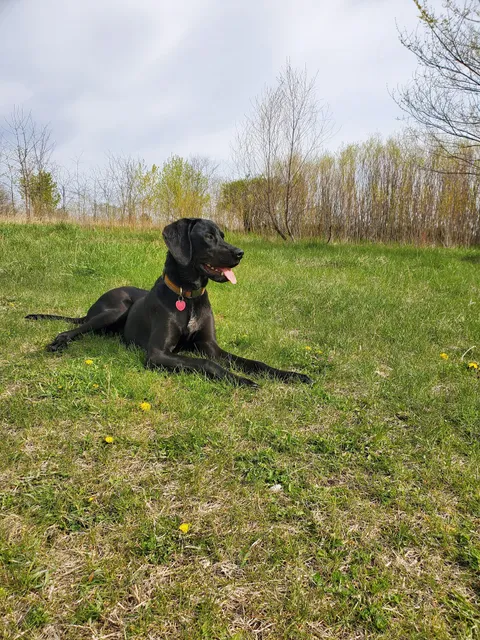 Stevens Point Dog Park