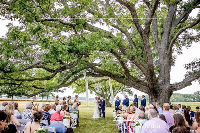 The Oak at Millsite Farm