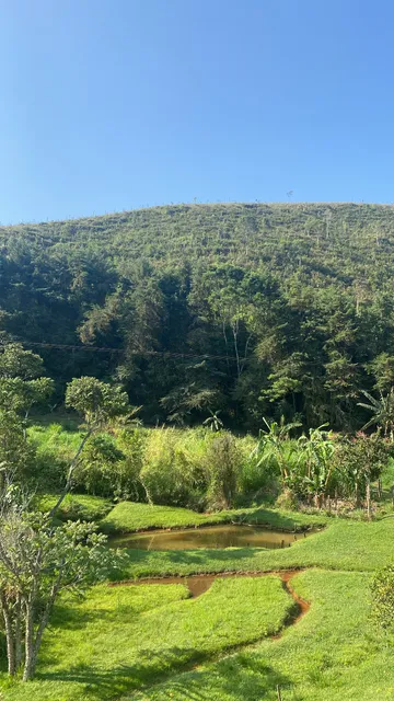 CANTINHO VERDE CEDRO CUNHA