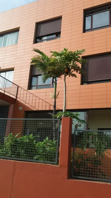 Centro Socio Sanitario Ferminita Suárez