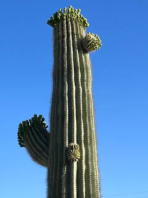 Wishing Well Trailer Court/Wishing Well RV Park