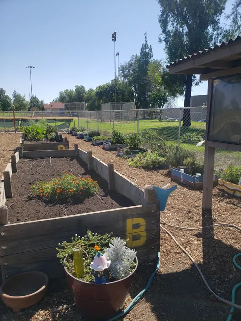 Cultivating Inclusion