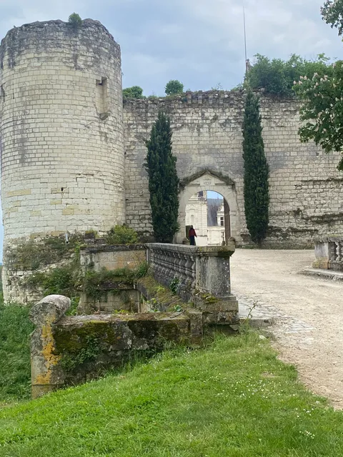 La collegiale Saint-Aignan