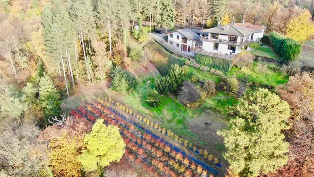 Agriturismo Sant'Anna