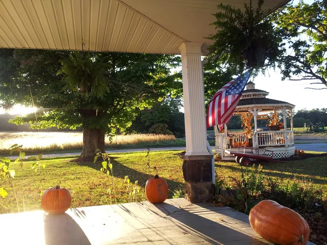 Pumpkin Head Pumpkin Patch & Corn Maze