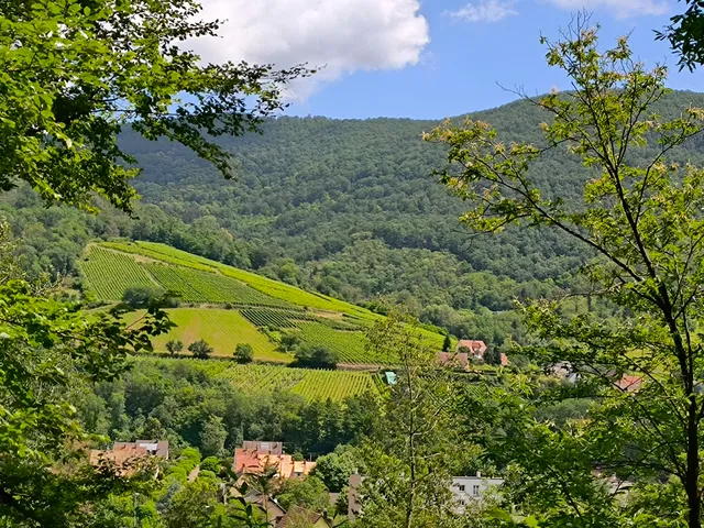 C.C.A.S. (Caisse Centrale d'Activités Sociales)