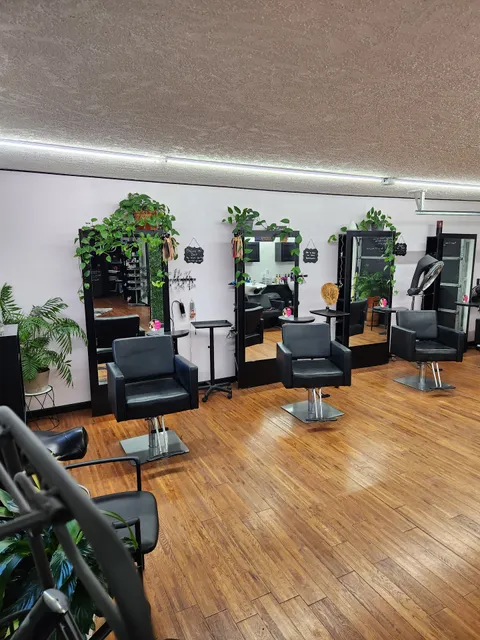 The Obsession Collective