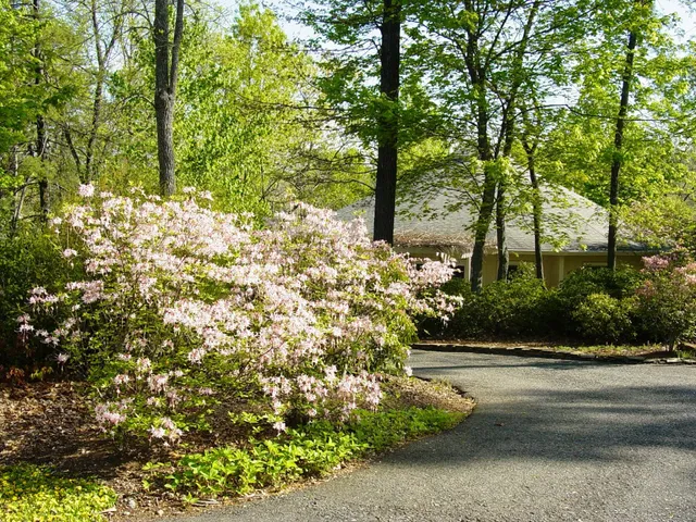 Adawehi Wellness Center