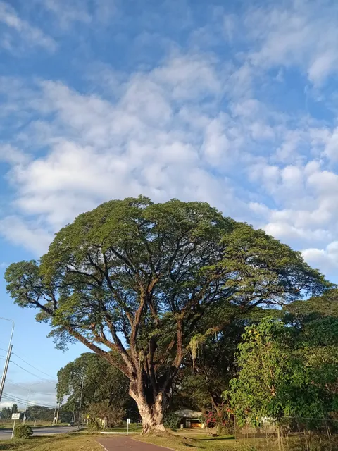 Clark Picnic Grounds