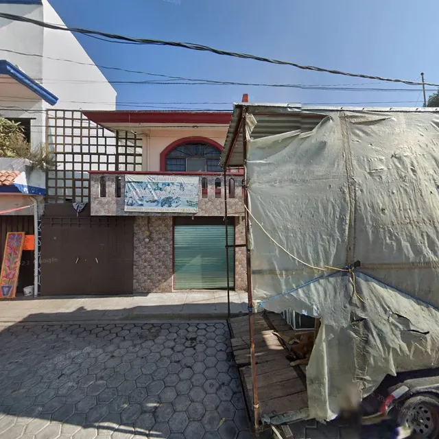 Molotes "Dña. Viviana"