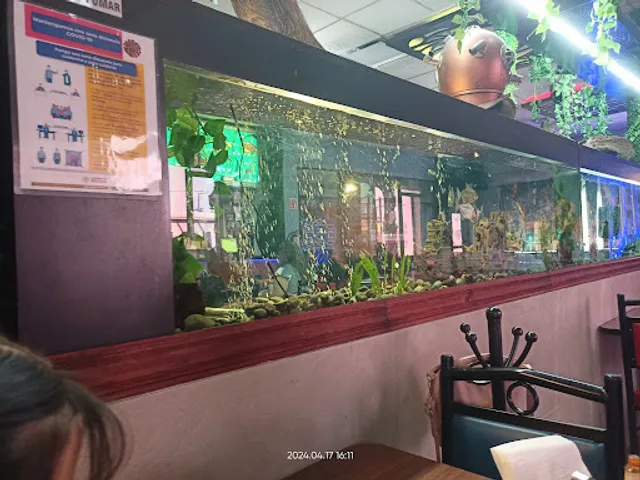 El Puerto de San Nico