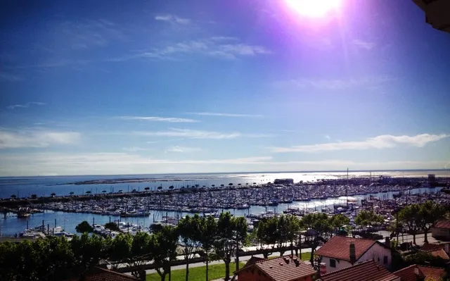 Les Hauts du Port - Location à Arcachon