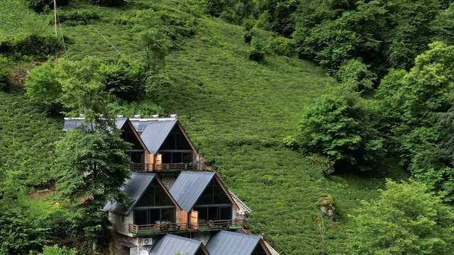 Elamti Suit Bungalov