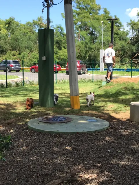 Doggie Park