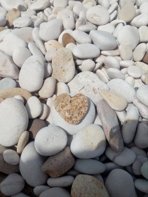 Ristorante Pizzeria La Zagara