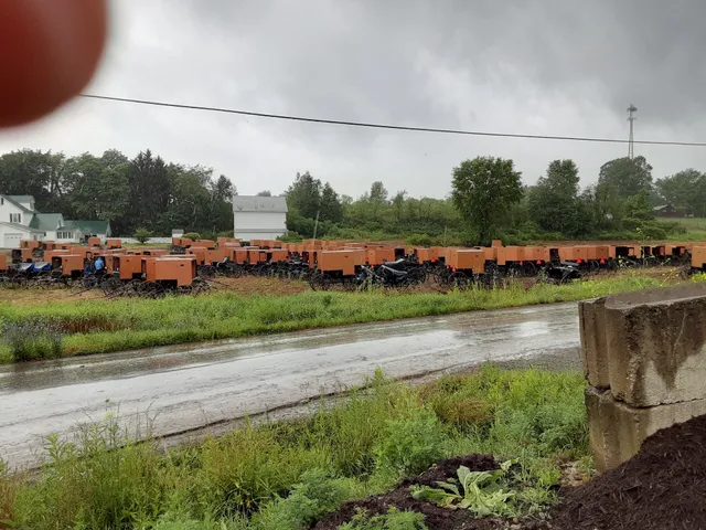 New Wilmington Livestock