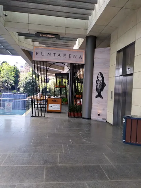 Moshi Moshi Oasis Coyoacán