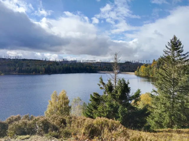 Ferienwohnung Waldhöhe