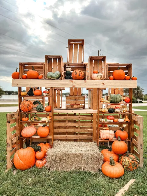 St. John's Pumpkin Patch