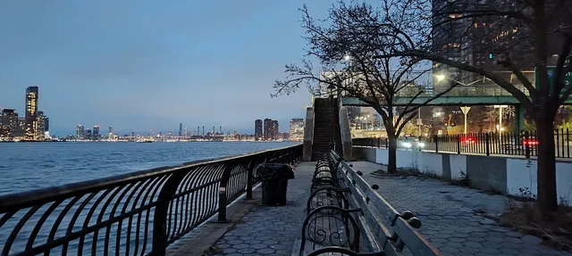 Peter Detmold Dog Run