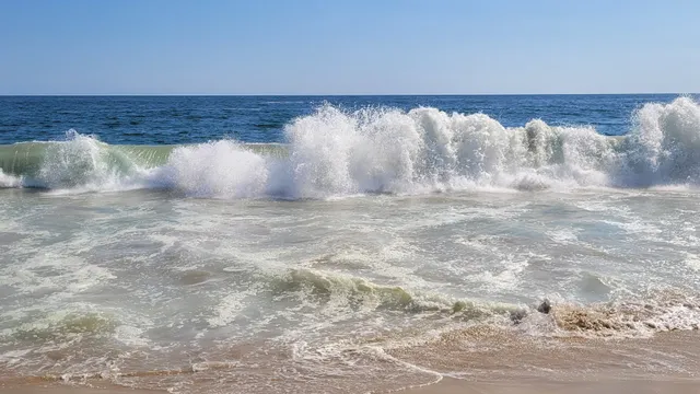 Restaurant Bar Las Palmas