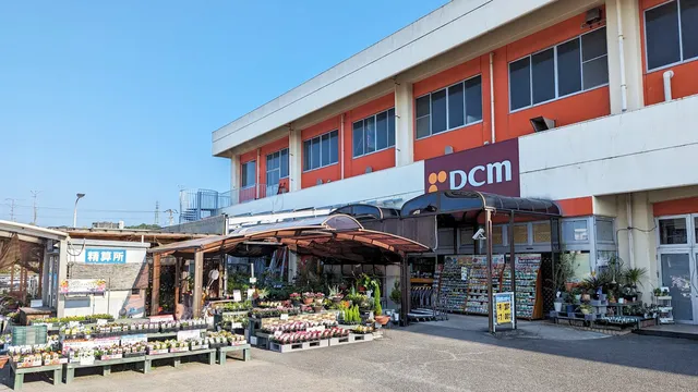DCM Imabari