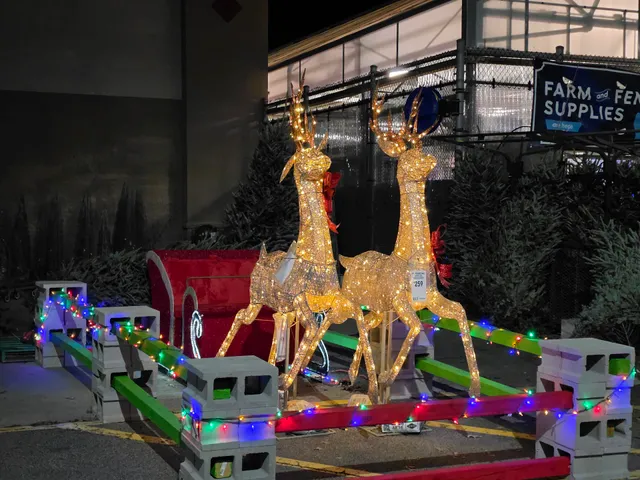 Lowe's Hartsville South Carolina